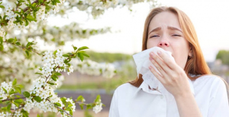 Descoberto papel-chave da hormona libertadora de corticotropina na alergia nasal